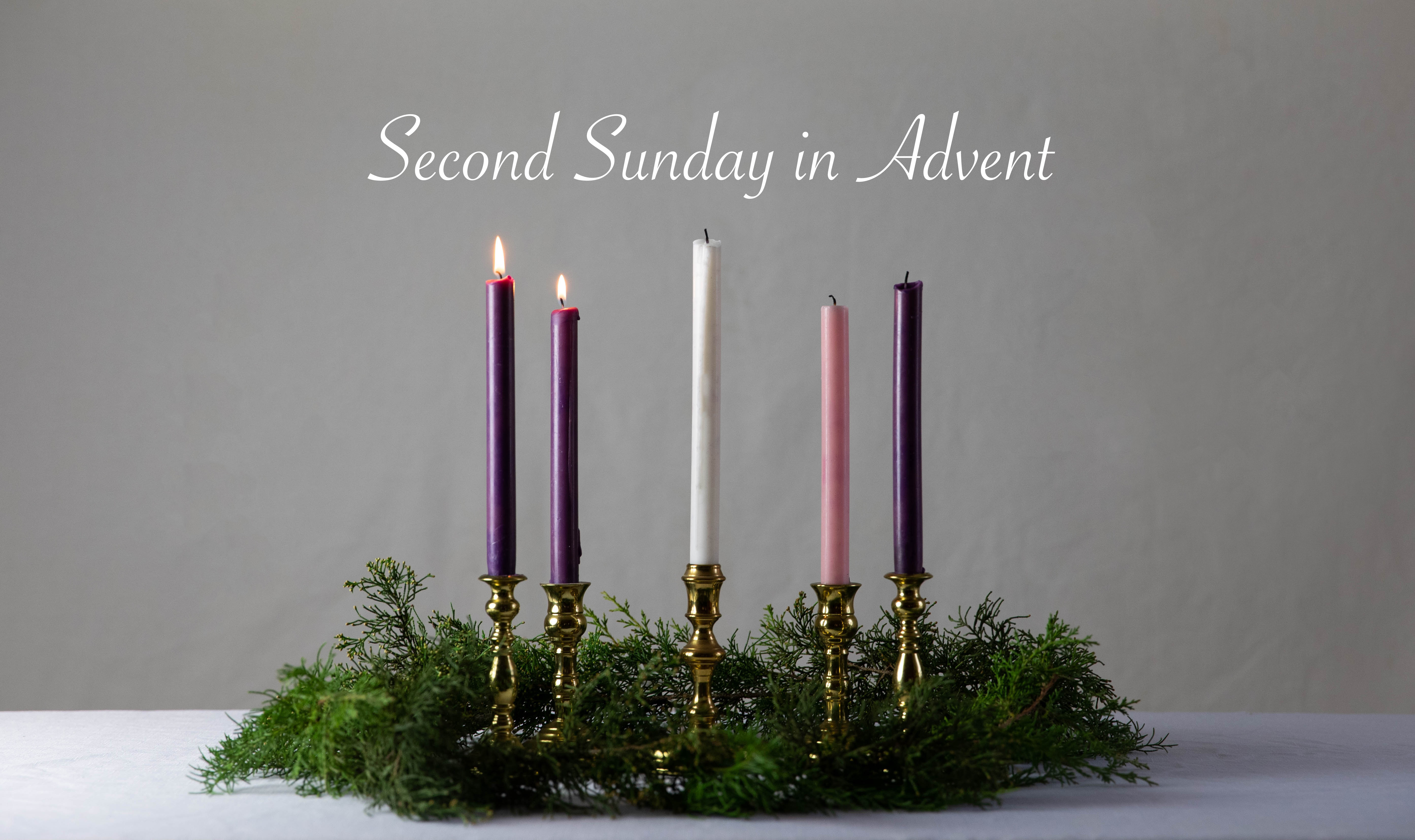 Rotator image unavailable